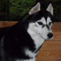 Photo de profil de Eron