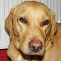 Photo de profil de Canelle