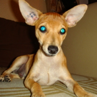 Photo de profil de Prince