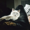 Photo de Palmyr