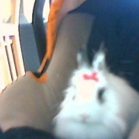 Photo de profil de Perles