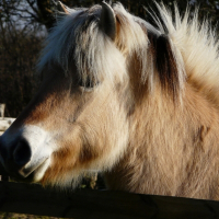 Photo de profil de Loana