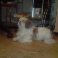 Photo de profil de Pistache
