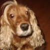 Photo de Tippy