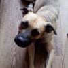 Photo de Roky balboa