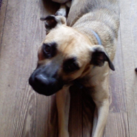 Photo de profil de Roky balboa