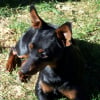 Photo de Rocky