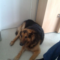 Photo de profil de Max