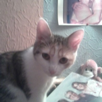 Photo de profil de Mysty