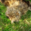 Photo de Bibie