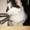 Photo de Titeuf