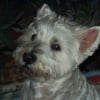 Photo de Isidore