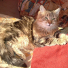 Photo de Mubble