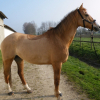Photo de Ulane