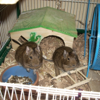 Photo de profil de Titine