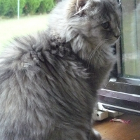 Photo de profil de Pilule