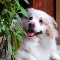 Photo de profil de Fritz