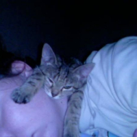 Photo de profil de Canelle