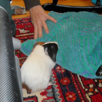 Photo de profil de Nana