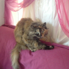 Photo de Zoé