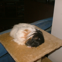 Photo de profil de Lucie