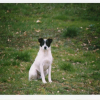 Photo de Valentin