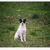 Photo de profil de Valentin