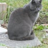 Photo de Bingo