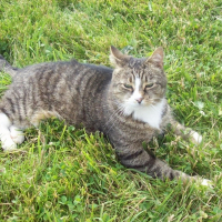 Photo de profil de Barney