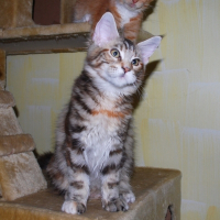 Photo de profil de Eglantine