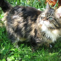 Photo de profil de Léo