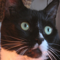Photo de profil de Salem