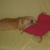 Photo de Slow