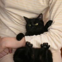 Photo de profil de Minnie