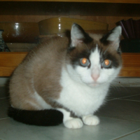 Photo de profil de Neige