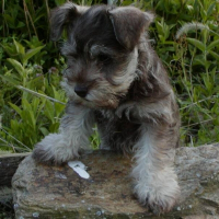Photo de profil de Mouche
