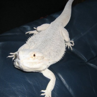 Photo de profil de Marley