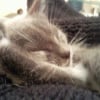Photo de Louloutte ou ma p'tite merdeuse!!!