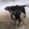 Photo de Vanille