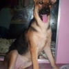 Photo de Mhaica