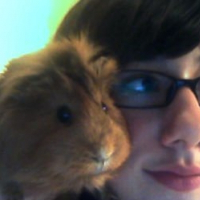Photo de profil de Roxana