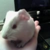 Photo de Lilli
