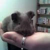 Photo de Junior