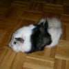 Photo de N