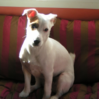 Photo de profil de Doom