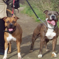 Photo de profil de Spike