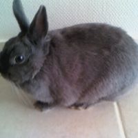 Photo de profil de Bougy