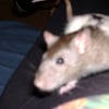 Photo de Sookie