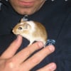 Photo de Francis