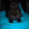 Photo de Bouly